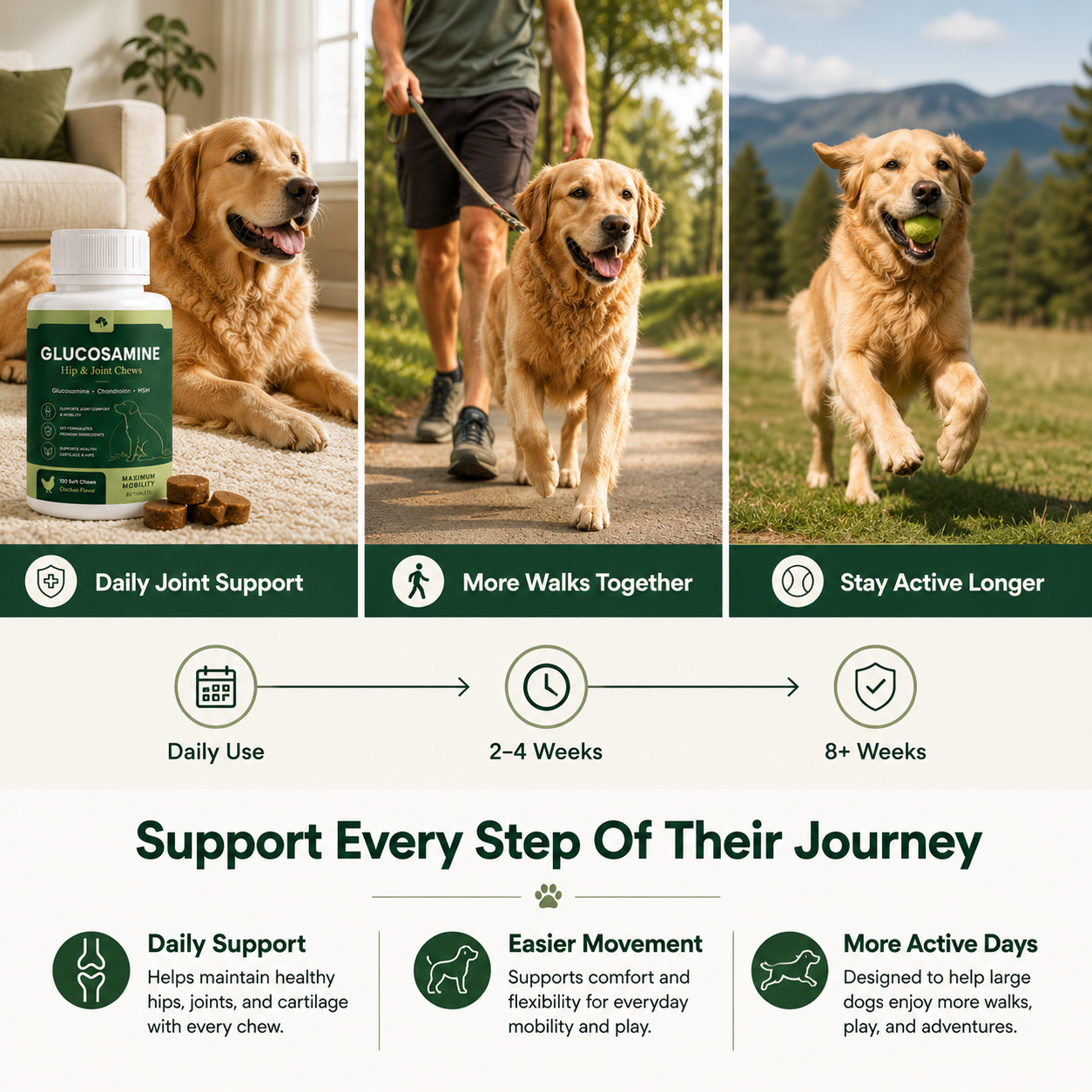 Hip & Joint Chews for Large Dogs